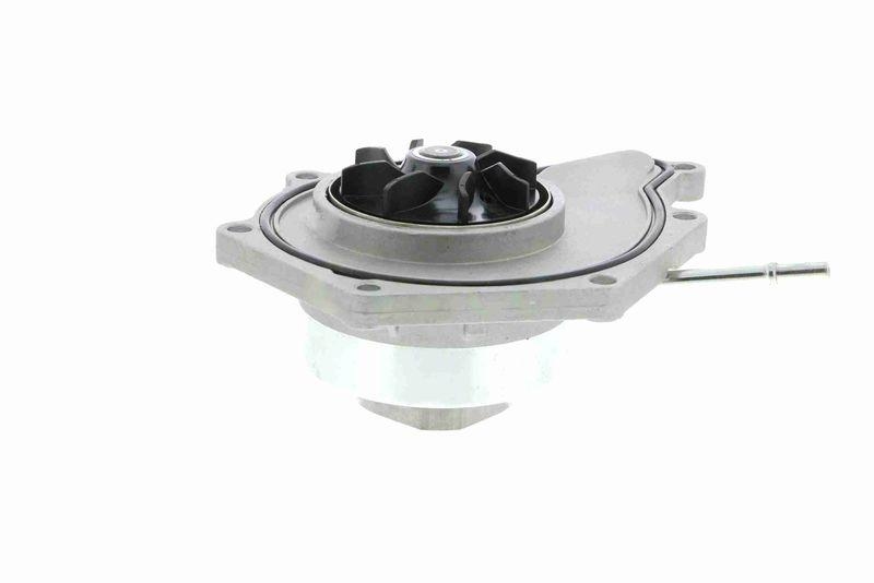 VAICO V10-50090 Wasserpumpe, Motorkühlung für VW