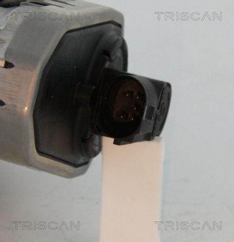 TRISCAN 8813 16202 Agr Ventil für Ford