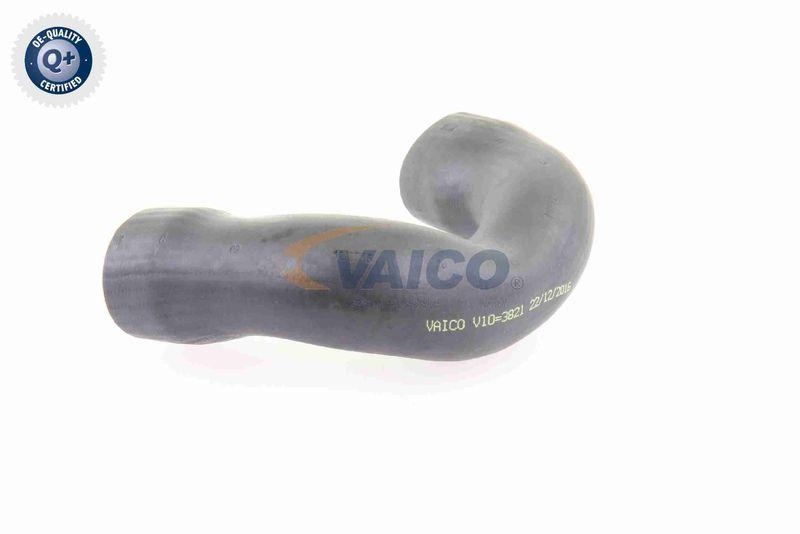 VAICO V10-3821 Ladeluftschlauch für VW