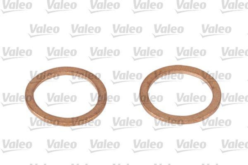 VALEO 587213 Kraftstofffilter, Benzin