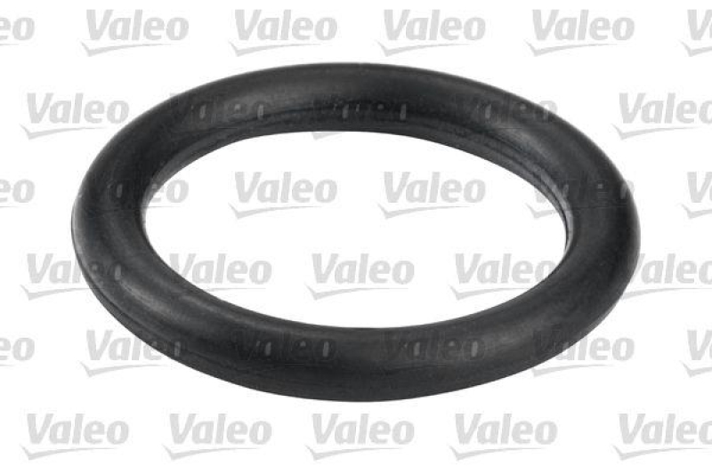 VALEO 587504 Kraftstofffilter, Diesel