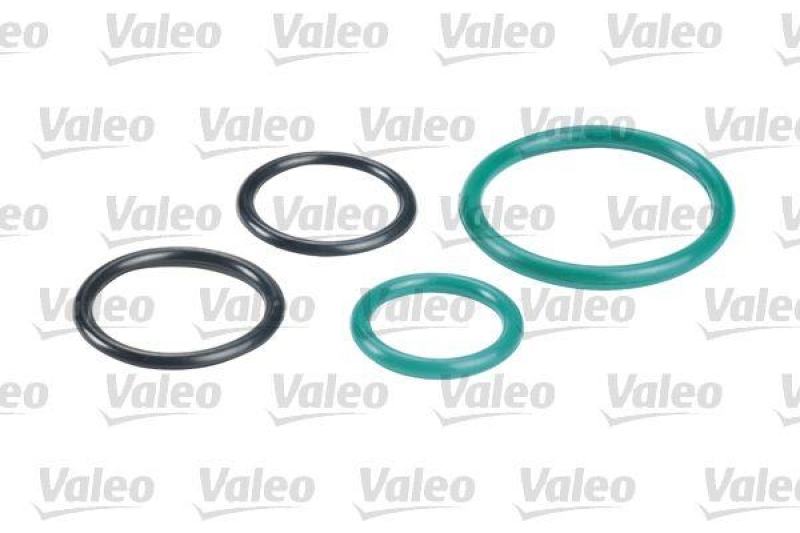 VALEO 587551 Kraftstofffilter, Diesel