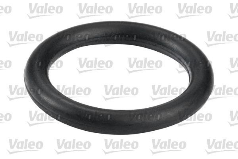 VALEO 587555 Kraftstofffilter, Diesel