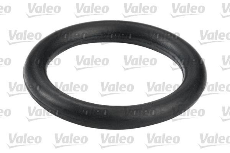 VALEO 587557 Kraftstofffilter, Diesel