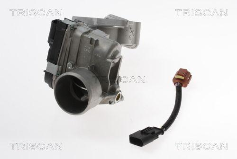 TRISCAN 8813 15100 Agr Ventil für Fiat/Iveco