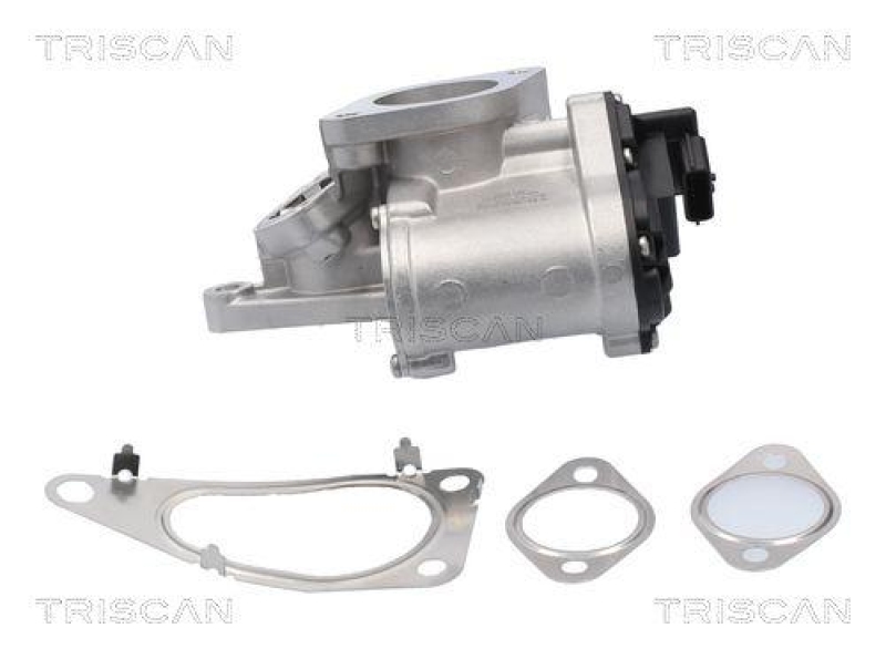 TRISCAN 8813 25201 Agr Ventil für Renault