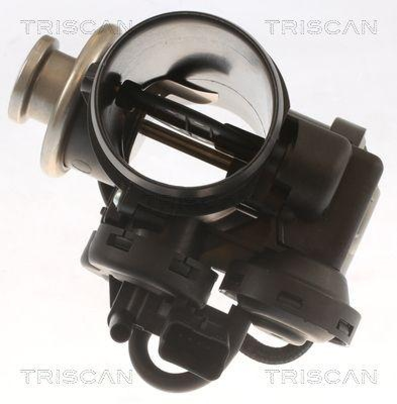 TRISCAN 8813 28045 Agr Ventil für Peugeot 206 1.9D