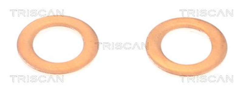 TRISCAN 8150 431020 Bremsschlauch Vorne für Hyundai, Kia