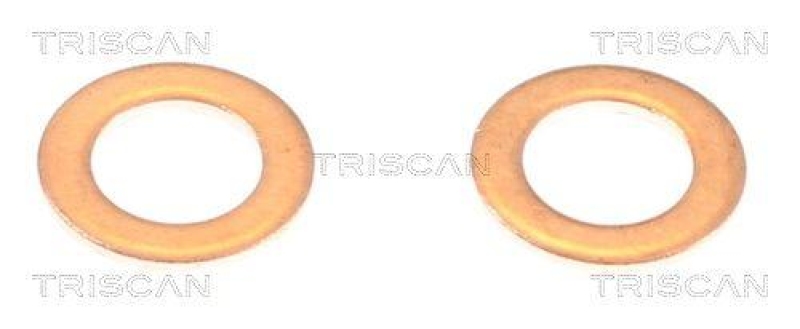 TRISCAN 8150 431021 Bremsschlauch Vorne für Hyundai, Kia