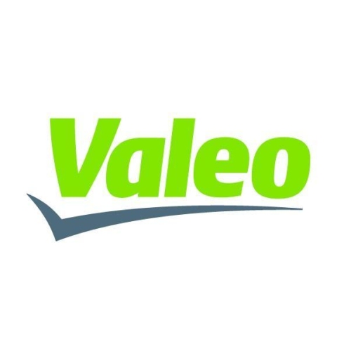 VALEO 599093 Generator Rotor TG14C041