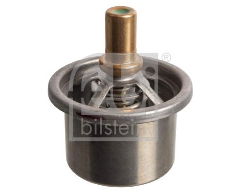 FEBI BILSTEIN 171162 Thermostat für DAF