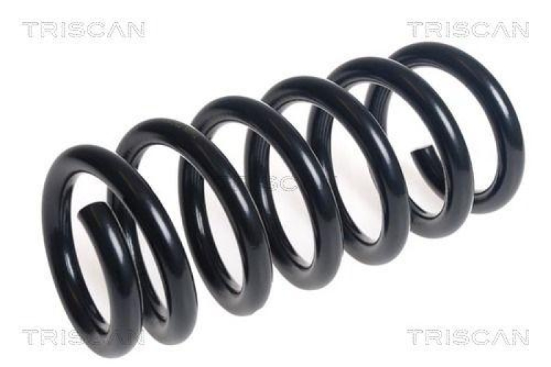 TRISCAN 8750 16134 Spiralfeder Hinten für Spiralfjeder