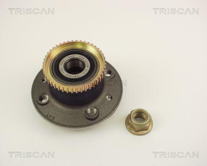 TRISCAN 8530 25236 Radlagersatz Hinten für Renault Megane Classic 2.