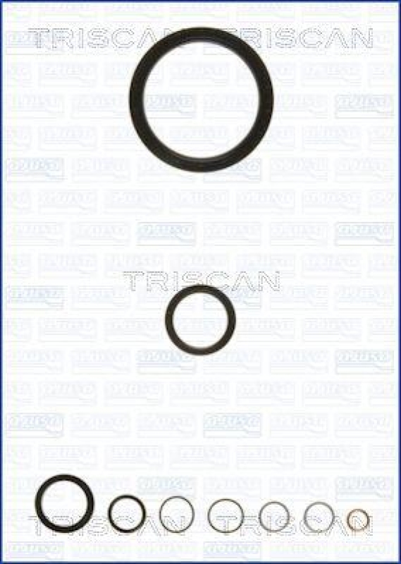 TRISCAN 595-45100 Dichtungssatz für Nissan