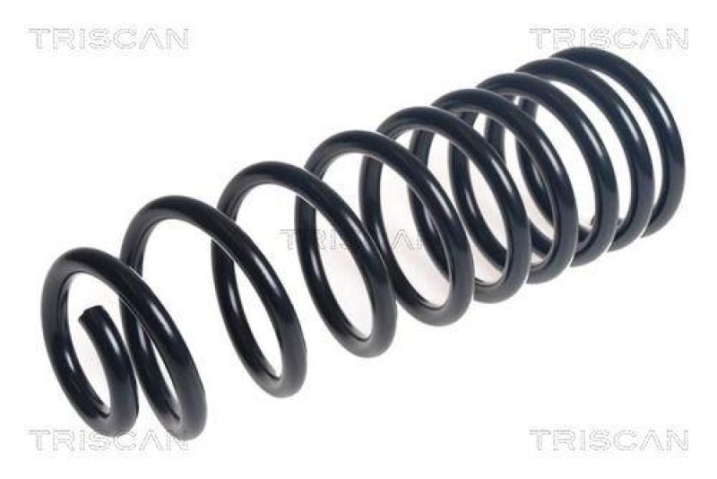 TRISCAN 8750 16163 Spiralfeder Hinten für Spiralfjeder