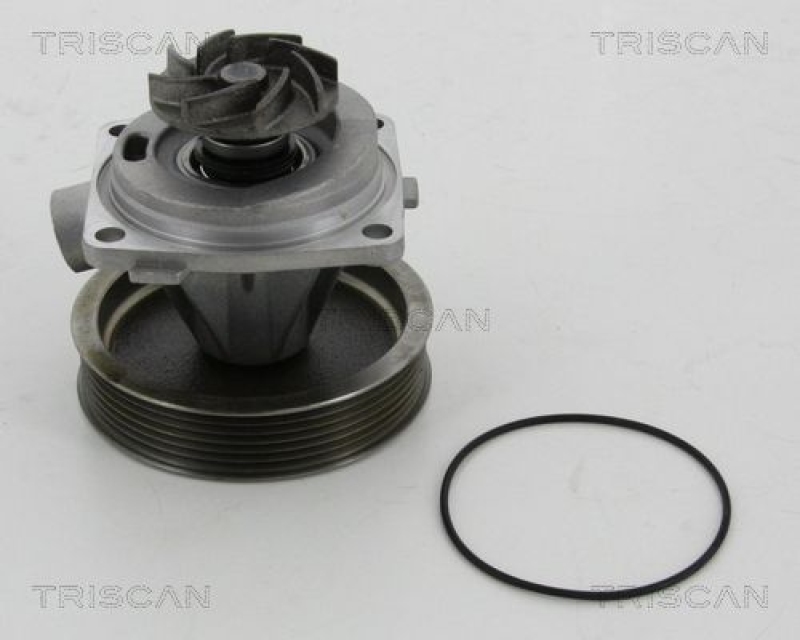 TRISCAN 8600 10080 Wasserpumpe für Peugeot, Citroen, Fiat