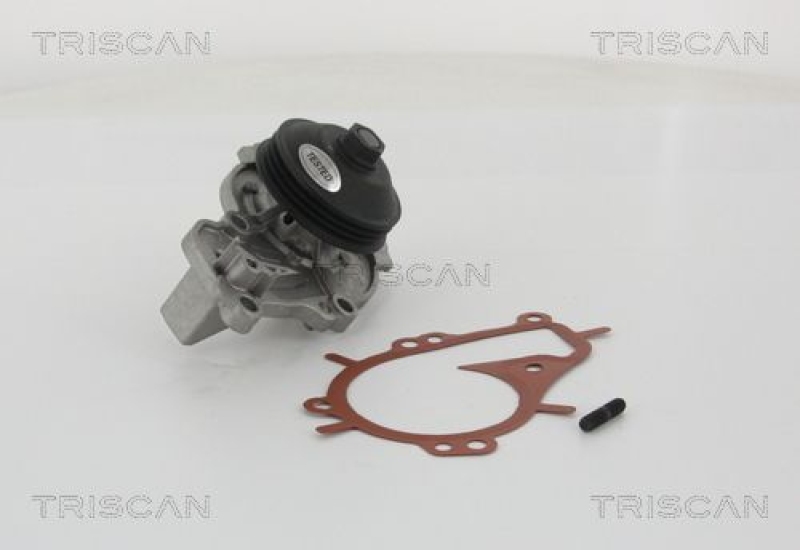 TRISCAN 8600 10081 Wasserpumpe für Psa