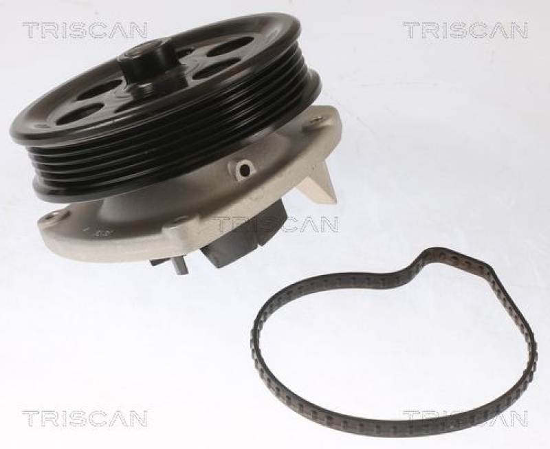 TRISCAN 8600 10087 Wasserpumpe für Various Cars