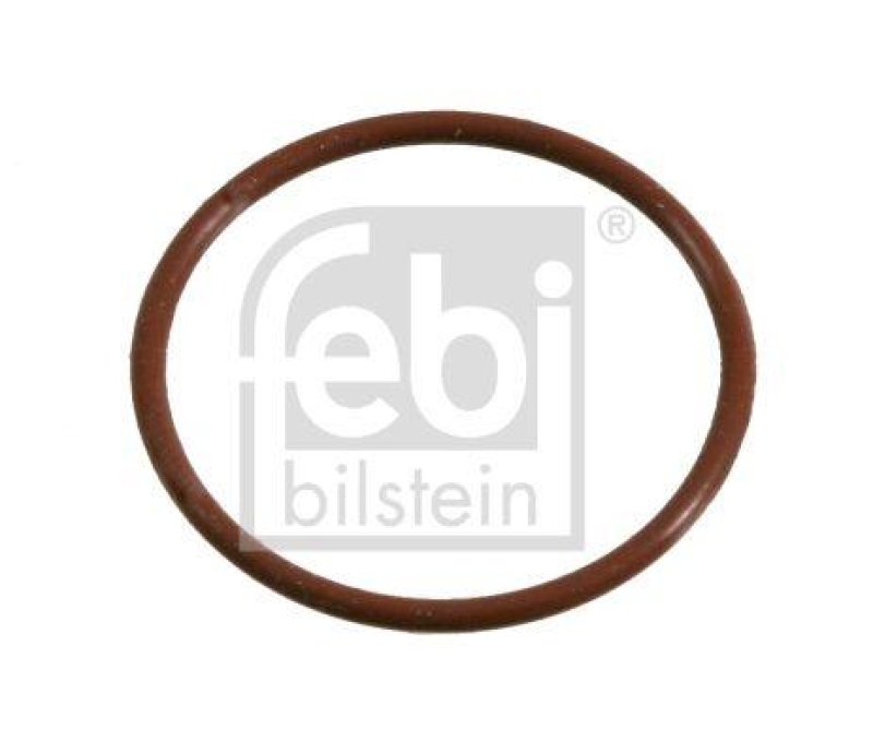 FEBI BILSTEIN 02377 Dichtring für Bremsnockenwelle für ROR