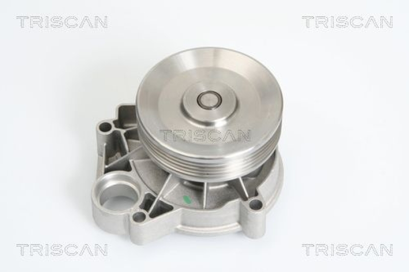 TRISCAN 8600 11009 Wasserpumpe für Bmw