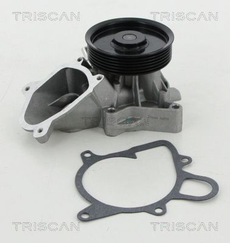 TRISCAN 8600 11030 Wasserpumpe für Bmw