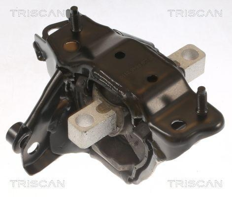 TRISCAN 8505 29139 Motoraufhängung für Audi, Seat, Skoda, Vw