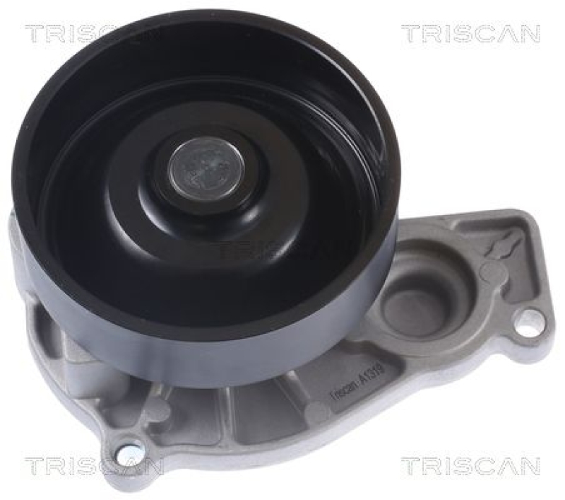 TRISCAN 8600 11049 Wasserpumpe für Bmw