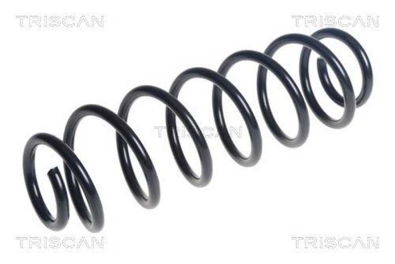 TRISCAN 8750 16195 Spiralfeder Hinten für Ford