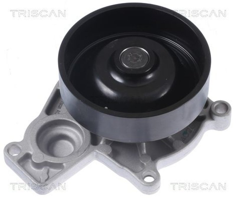 TRISCAN 8600 11050 Wasserpumpe für Bmw