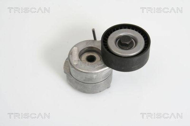 TRISCAN 8641 103019 Riemenspanneinheit für Fiat, Opel