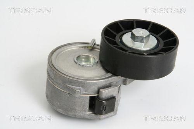 TRISCAN 8641 103032 Spannrolle für Fiat, Ford, Psa