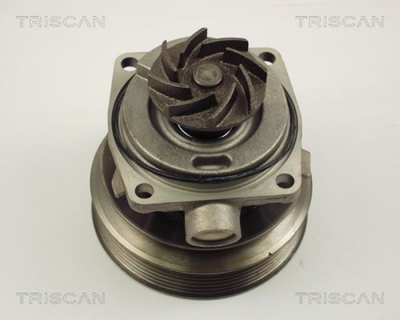 TRISCAN 8600 10006 Wasserpumpe für Citroen, Fiat, Peugeot