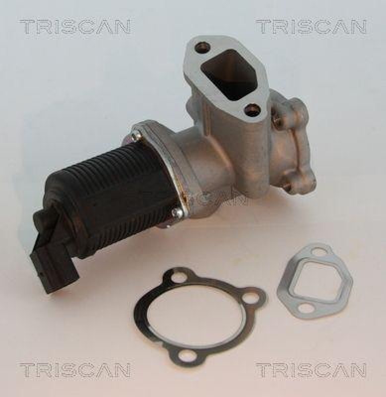 TRISCAN 8813 10003 Agr Ventil für Psa/Fiat/Gm