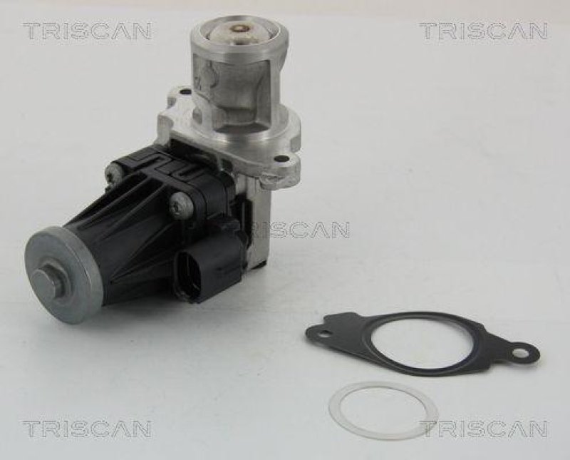 TRISCAN 8813 10004 Agr Ventil für Psa/Fiat/Gm