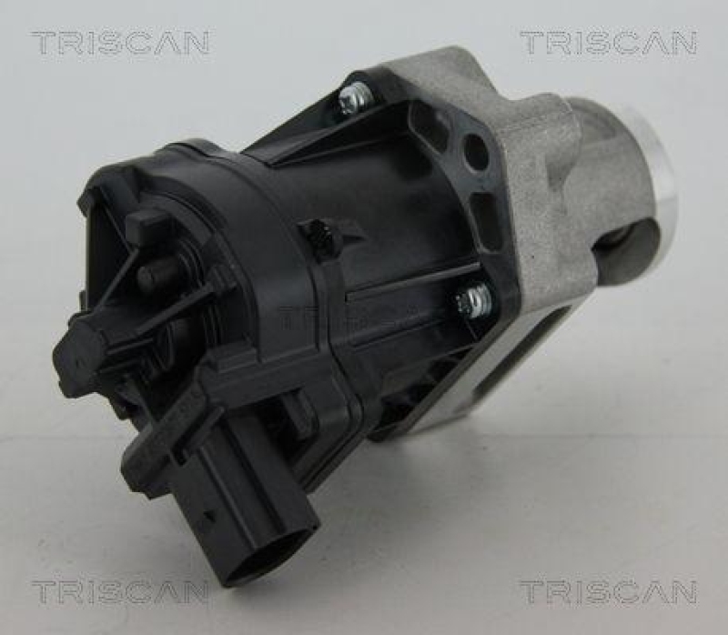 TRISCAN 8813 10006 Agr Ventil für Psa/Fiat/Gm