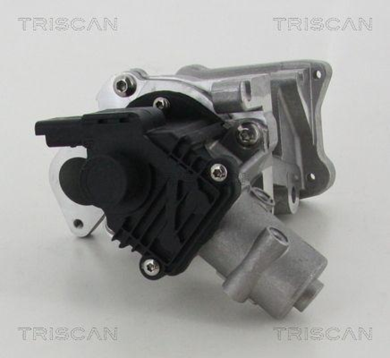 TRISCAN 8813 10007 Agr Ventil für Ford/Volvo/Mazda