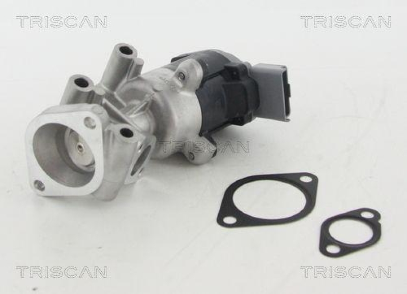 TRISCAN 8813 10009 Agr Ventil für Psa/Fiat/Gm