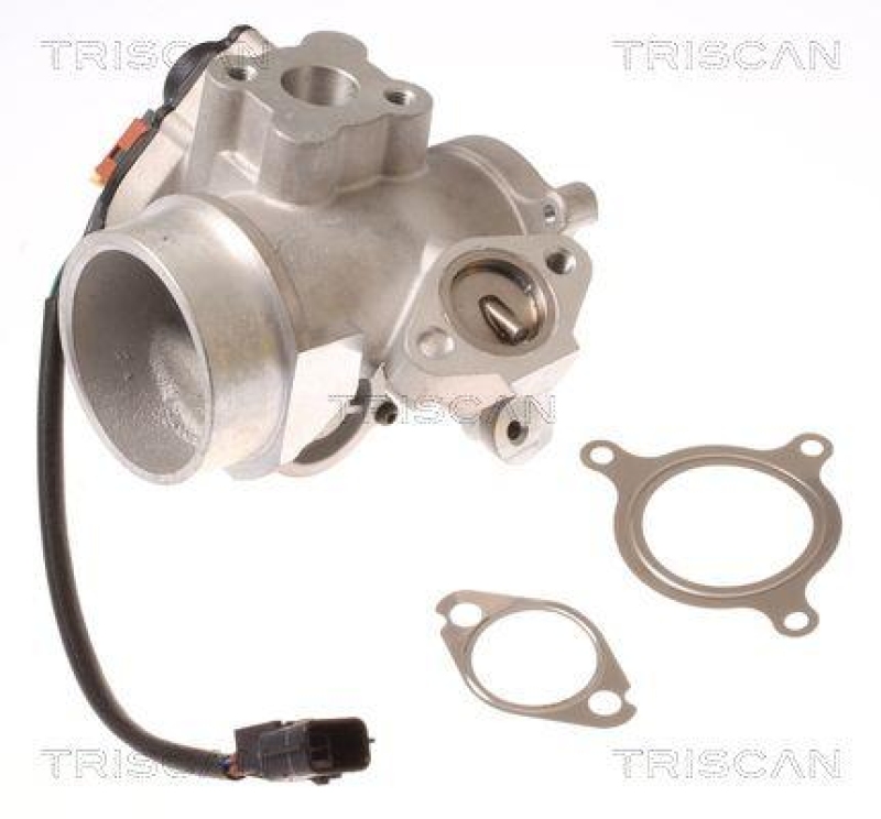 TRISCAN 8813 10012 Agr Ventil für Nissan/Renault/Opel