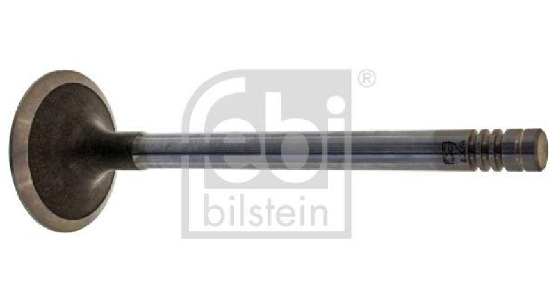 FEBI BILSTEIN 19302 Einlassventil für Ford