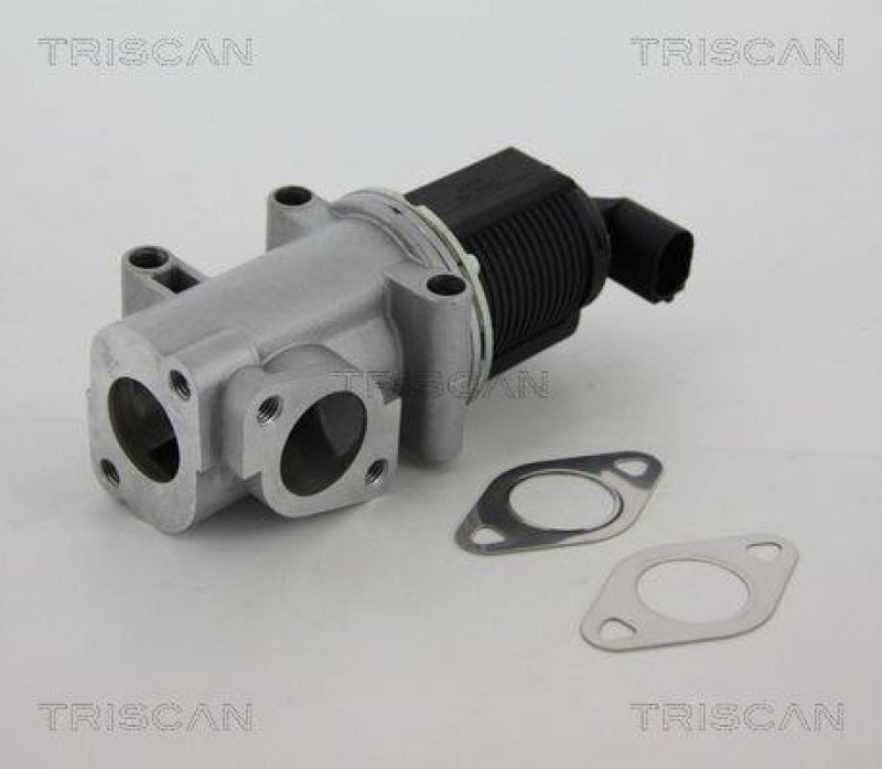 TRISCAN 8813 10015 Agr Ventil für Opel/Fiat/Gm