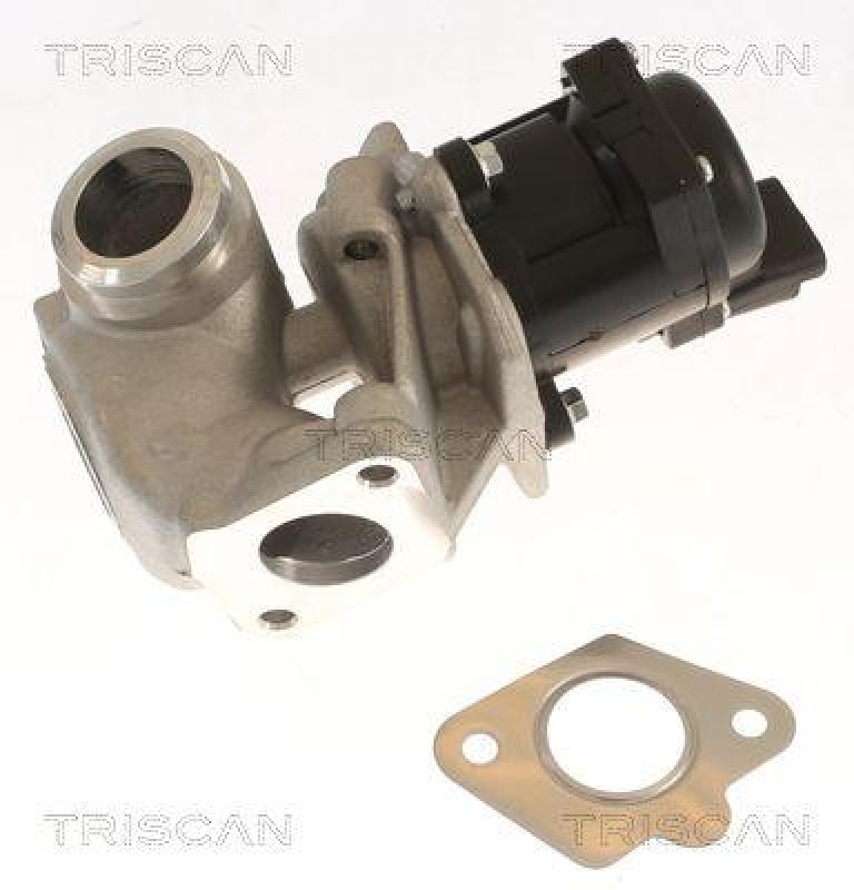 TRISCAN 8813 10018 Agr Ventil für Ford, Volvo, Mazda