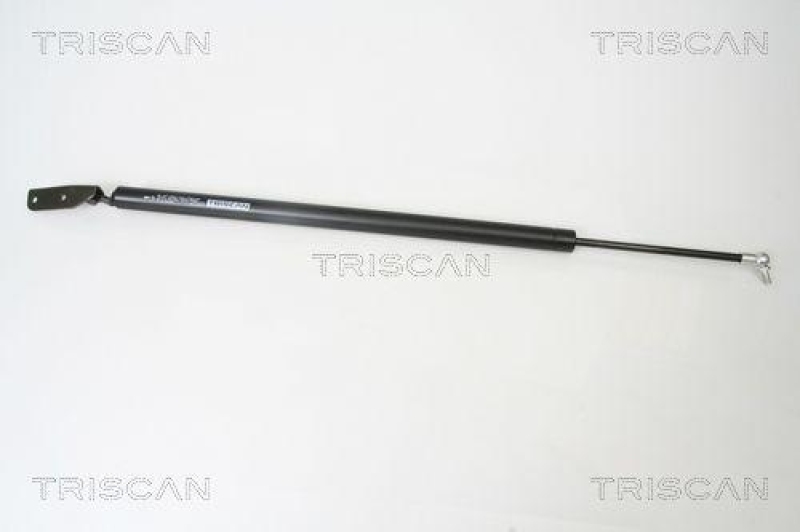 TRISCAN 8710 42230 Gasfeder Hinten für Mitsubishi L400