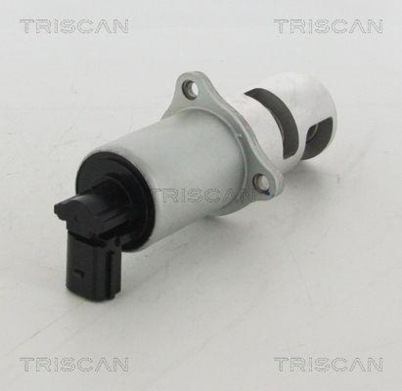 TRISCAN 8813 10100 Agr Ventil für Renault/Nissan