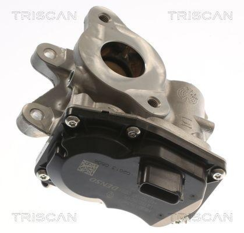 TRISCAN 8813 10116 Agr Ventil für Opel, Renault