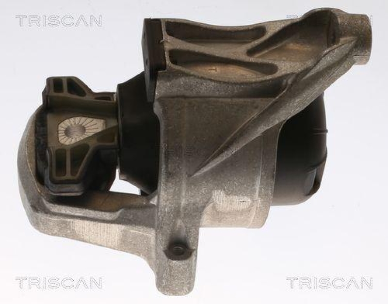 TRISCAN 8505 29168 Motoraufhängung für Audi A4, A5