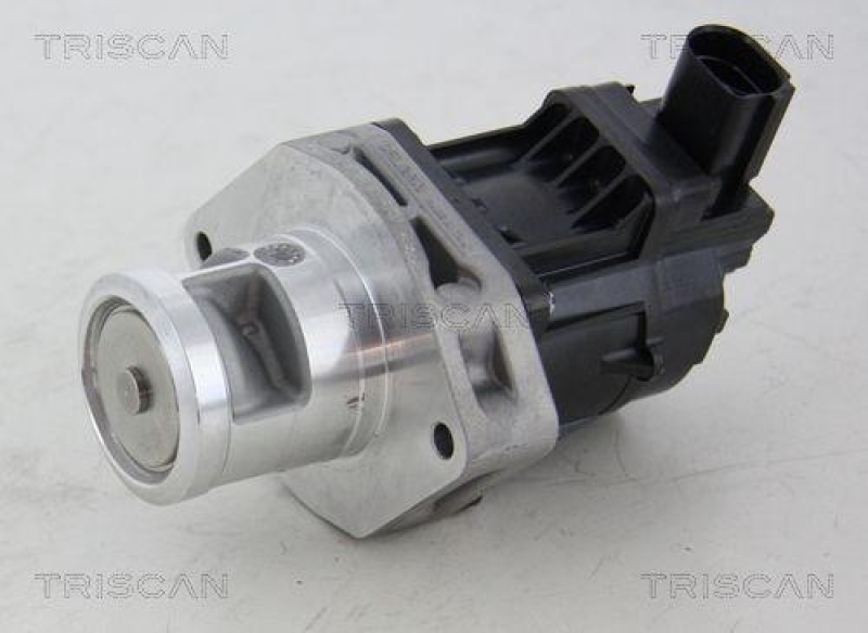 TRISCAN 8813 10214 Agr Ventil für Fiat/Chrysler