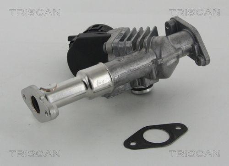 TRISCAN 8813 11006 Agr Ventil für Bmw