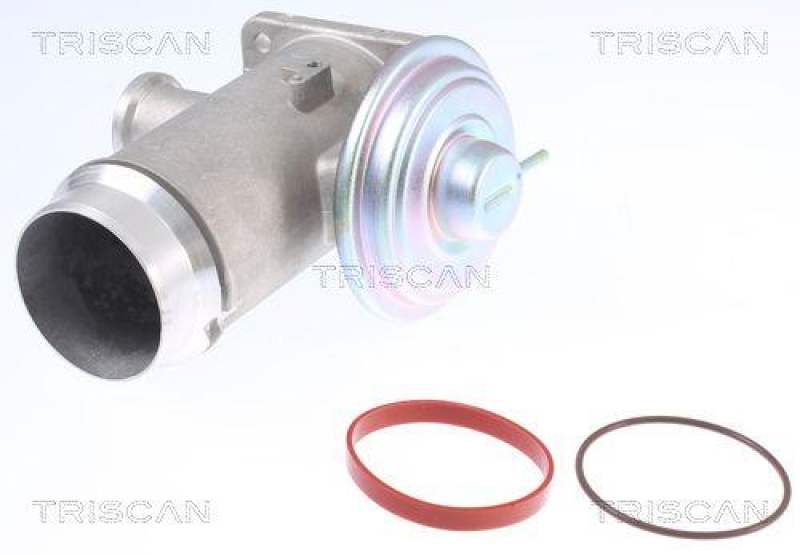 TRISCAN 8813 11102 Agr Ventil für Bmw