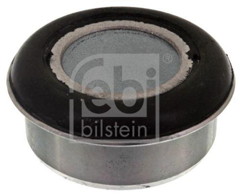 FEBI BILSTEIN 44892 Achskörperlager für Iveco