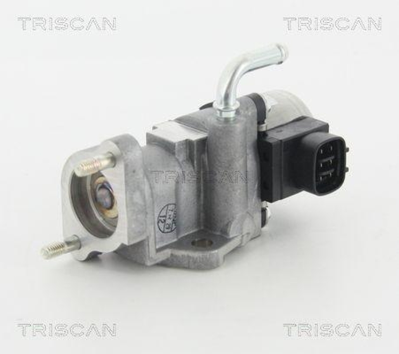 TRISCAN 8813 13002 Agr Ventil für Toyota